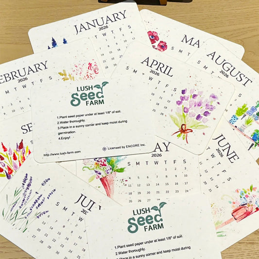 2026 NEW YEAR 70% OFF | Today Eco-Friendly Plantable Love Seed Calendar 2026