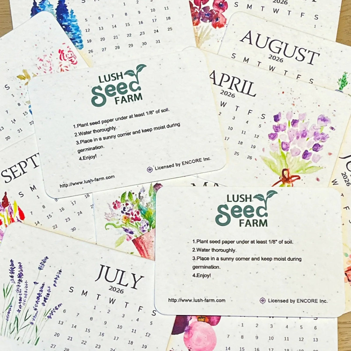 2026 NEW YEAR 70% OFF | Today Eco-Friendly Plantable Love Seed Calendar 2026